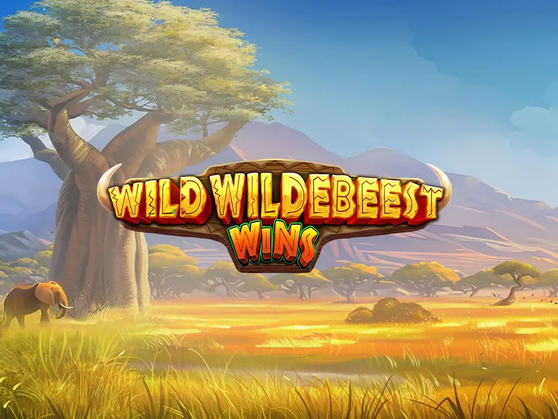 Promoção do jogo Wild Wildebeest Wins